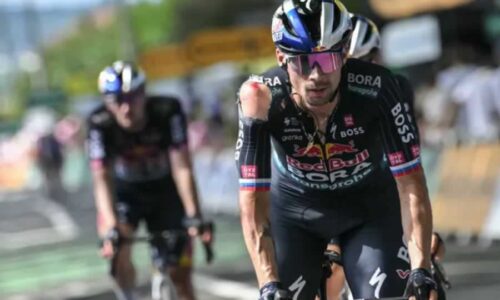 Примож Роглич после аварии на Тур де Франс 2024 года