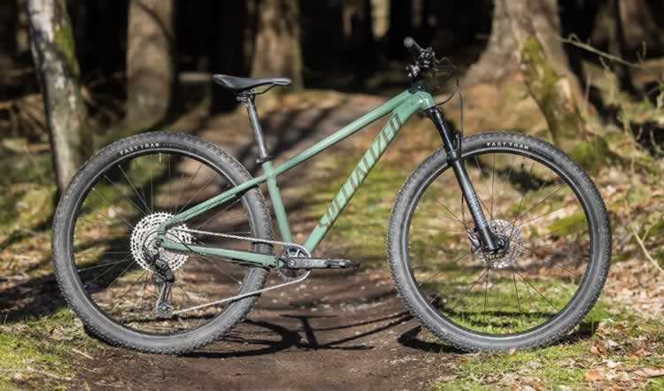 Specialized Rockhopper Elite 29